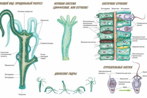 Кракен зеркало 2kraken biz